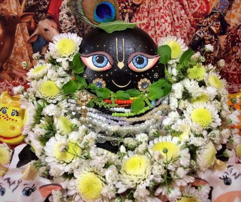 Shaligram form of Lord Vishnu